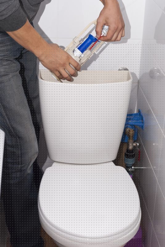 Commercial Toilet Repair