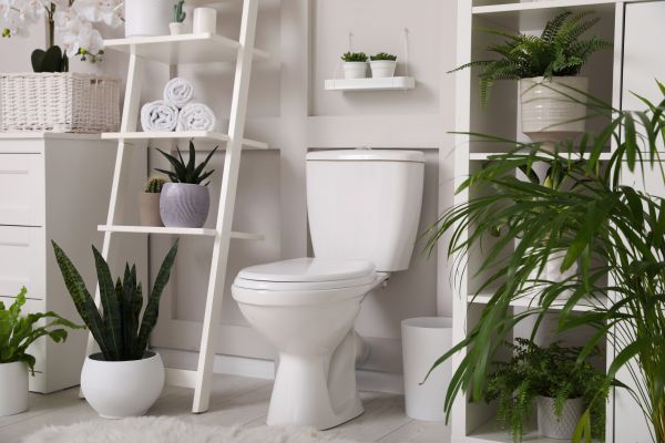 Cost of Toilet Repair in Downingtown