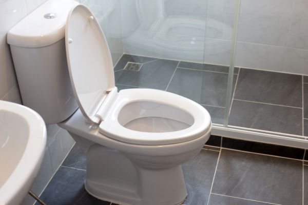 Cost of Toilet Replacement in Downingtown