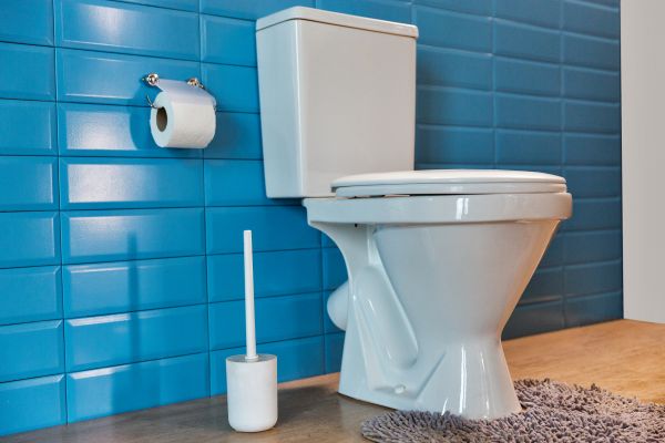 Cost of Toilet Tank Repair in Downingtown