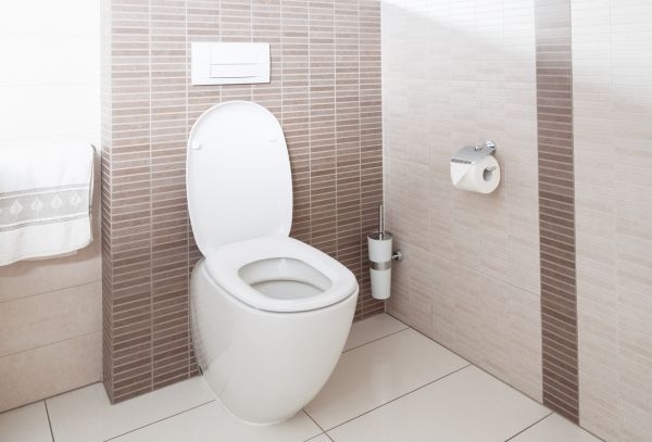 Cost of Toilet Plumbing Installation in Downingtown